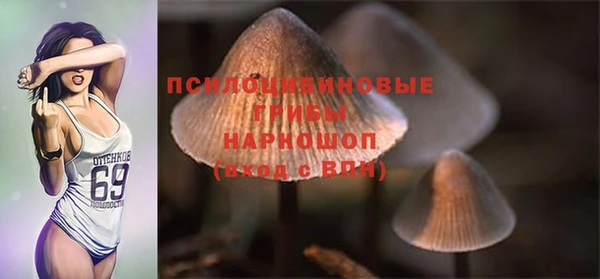 хмурый Нязепетровск