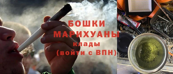 PSILOCYBIN Няндома