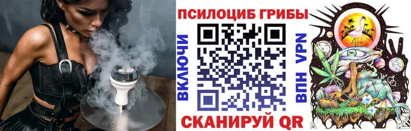 как найти закладки  Полярные Зори  Галлюциногенные грибы Psilocybe 